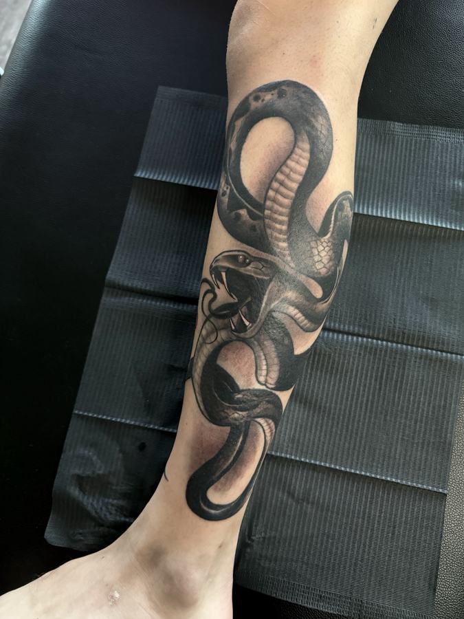 Two cobras coiled in black and grey realism, tattooed down a lower leg