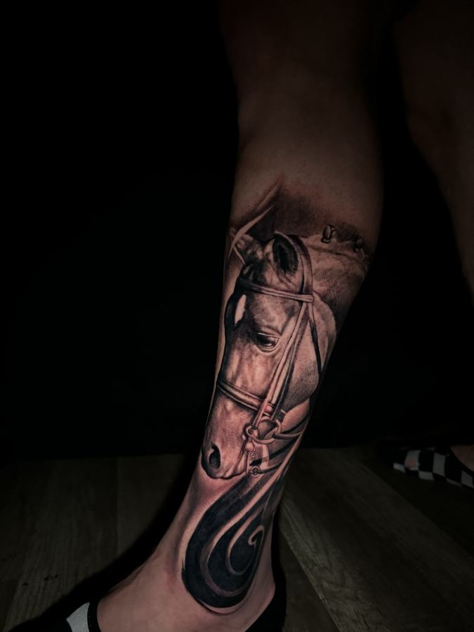 Horse portrait with a bridle in black and grey realism, tattooed on a lower leg