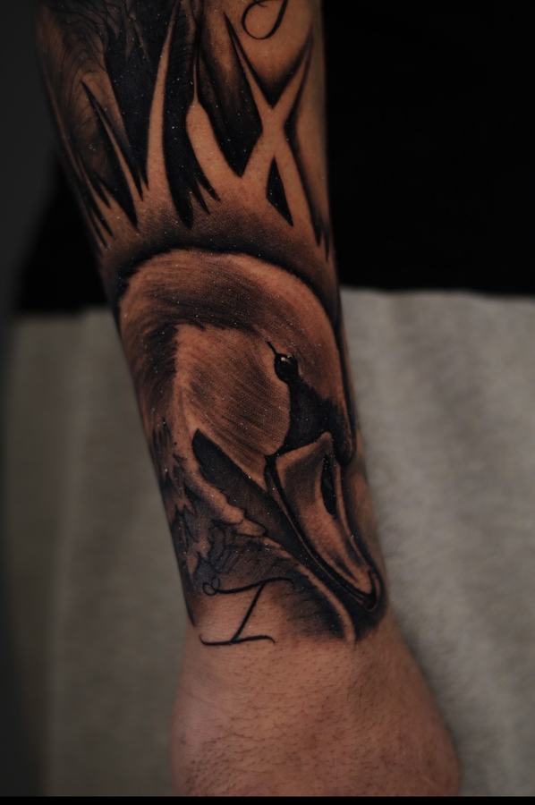 Swan head and neck in black and grey realism tattooed on a lower forearm