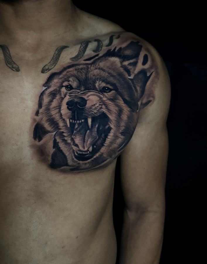 Snarling wolf tattoo in black and grey realism on a chest